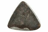 Chondrite Meteorite Cabochon ( g) #238198-1